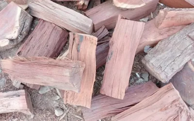 الحطب المصري